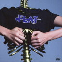 女王蜂／FLAT -Hall Live 2018- 【DVD】