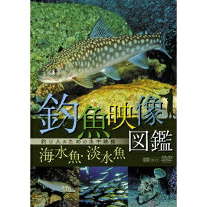 釣魚映像図鑑 ［海水魚・淡水魚］釣り人のための水中映像 【DVD】