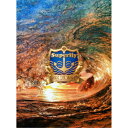 Superfly/Ride the Wave ~Live & Documentary~ 【DVD】