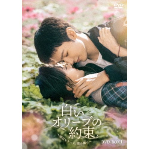商品種別DVD発売日2026/12/02ご注文前に、必ずお届け日詳細等をご確認下さい。関連ジャンル映画・ドラマ海外ドラマアジア永続特典／同梱内容封入特典：ストーリーリーフレット商品概要シリーズ解説どんなに離れても、この愛だけは揺るがない--／信じ続けた愛に、涙が止まらない！／「ひそかな恋模様は、曇りのち晴れ」 で人気スターへと躍り出たチェン・ジャーユエン最新作！／世界の片隅で見つけた、決して色あせない恋。『白いオリーブの約束〜明日もきっと、君の隣で〜』内戦が続く東(ドン)国で取材を続けるテレビ局の記者・宋冉(ソン・ラン)。帰国を目前に控えたある日、爆破テロの現場を中継した彼女は、その帰り道で地雷を踏み、絶体絶命の危機に陥る。彼女を救ったのは、東国で地雷撤去活動に従事する爆発物処理技術者・李ザン。危険を前にしても揺るがない冷静さと優しさに触れた宋冉は、彼に心を奪われる。別れ際、偶然彼の腕の赤い紐が宋冉のバッグに引っかかり、その小さな縁が、二人を再び引き寄せていく。帰国後、もう会えないと諦めていた宋冉は、思いがけず李ザンと再会。再び東国で危険な現場を共にする中で、互いのまっすぐな信念と優しさに惹かれ合っていく。しかし、その矢先、再び大規模な爆破事件が発生。戦火の中で芽生えた二人の想いは、過酷な現実に翻弄されていく--。本編560分スタッフ&amp;キャストハイ・タオ［海涛］(監督)、ハン・ハオ［韓］(脚本)リャン・ジェイ［梁潔］、チェン・ジャーユエン［陳哲遠］、ワン・ジュオチョン［汪卓成］、チェン・インチェン［陳英辰］商品番号KEDV-1019販売元TCエンタテインメント組枚数7枚組収録時間560分色彩カラー字幕日本語字幕制作年度／国2025／中国画面サイズ16：9音声仕様ドルビーデジタルステレオ 中国語 _映像ソフト _映画・ドラマ_海外ドラマ_アジア _DVD _TCエンタテインメント 登録日：2026/09/28 発売日：2026/12/02 締切日：2026/10/14