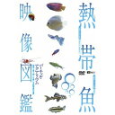 熱帯魚映像図鑑 バーチャル・アクアリウム 映像と音で愉しむ美しき熱帯魚の世界 【DVD】