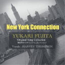 藤田ゆかり／New York Connection 【CD】