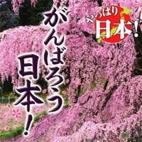 (オムニバス)／やっぱり日本！がんばろう日本！ 【CD】