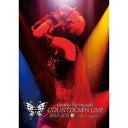 浜崎あゆみ／ayumi hamasaki COUNTDOWN LIVE 2010-2011 A 〜do it again〜 【DVD】