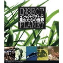 インセクト・プラネット 昆虫たちの世界 【DVD】