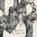 ベッカ・スティーヴンス&ザ・シークレット・トリオ/ベッカ・スティーヴンス&ザ・シークレット・トリオ 【CD】