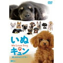 【6/11 2時まで! 全品P5倍 & 最大1000円OFFクーポン】いぬキュン 癒しのわんこシアター We Love Dog 【DVD】
