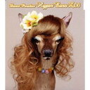 ZOO/Dance Paradise Hyper Euro ZOO 【CD】