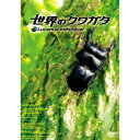【7/18限定! 楽天会員なら最大P4倍】世界のクワガタ 【DVD】