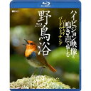 野鳥浴 ハイビジョン映像と鳴き声で愉しむバーチャル・バードウォッチング 【Blu-ray】