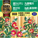 超厳選 カラオケサークルW ベスト4 【DVD】