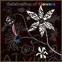 ALvino／Celebration of Flowers 【CD】