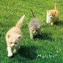 (クラシック)/まるごと!マーチ 【CD】