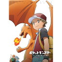 【7/13~ エントリー&5000円以上購入でP最大5倍】ポケットモンスター ジ・オリジン 【DVD】