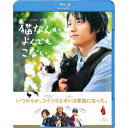 【~7/31 エントリー&5000円以上購入でP最大5倍】猫なんかよんでもこない。 【Blu-ray】