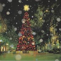 小田和正／君に Merry Xmas 【CD】