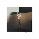 RAY/vase 【CD】