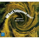 灰野敬二,田村夏樹/What happened there? 【CD】