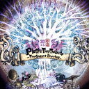 (V.A.)／Plastic Tree Tribute 〜Transparent Branches〜 【CD】