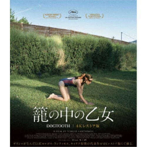 【11/25限定! 最大1000円OFFクーポン】籠の中の乙女 4Kレストア版 【Blu-ray】