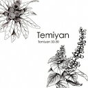 Temiyan／Temiyan 30-30 【CD】