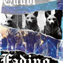 Quubi/Fading 【CD】