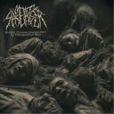 MEAT SPREADER/Mental Disease Transmitted By Radioactive Fear 【CD】