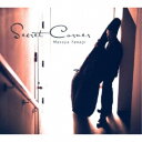 柳真也/Secret Corner 【CD】