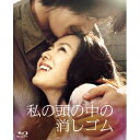 私の頭の中の消しゴム プレミアム・エディション 【Blu-ray】