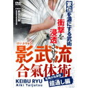 影武流合氣体術 究極の当身技 鎧通し編 【DVD】
