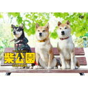 【8/18限定! 楽天会員なら最大P4倍】柴公園 TVシリーズ DVD-BOX 【DVD】