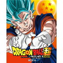 【10/1限定! 最大P6倍 & 最大2000円OFFクーポン!!】ドラゴンボール超 Blu-ray BOX6 【Blu-ray】