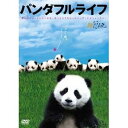 【9/1限定! 最大P6倍 & 最大2000円OFFクーポン!!】パンダフルライフ 【DVD】
