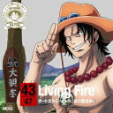 【5/9〜16限定!! 最大3000円OFFクーポン!!】ポートガス・D・エース(古川登志夫)/ONE PIECE ニッポン縦断! 47クルーズCD in 熊本...
