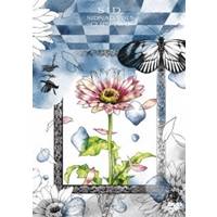 【数量限定!! 当店で使える200円OFFクーポン】SIDNAD Vol.5〜CLIPS TWO〜 【DVD】