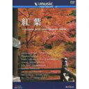 V-music07 紅葉 〜autumn with your favorite music〜 【DVD】
