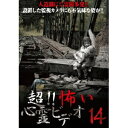 超!!怖い心霊ビデオ14 【DVD】