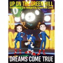 DREAMS COME TRUE/UP ON THE GREEN HILL from Sonic the Hedgehog Green Hill Zone《数量...