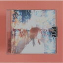武田理沙/パラレルワールド 【CD】