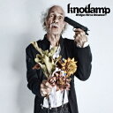 knotlamp／Bridges We’ve Dreamed 【CD】