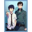 【6/1限定エントリーでP3倍】青の祓魔師 vol.10 (初回限定) 【DVD】
