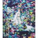 ミュージカル『ヴェラキッカ』《通常版》 【Blu-ray】