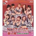 ドリームモーニング娘。 コンサートツアー2011春の舞 ~卒業生DE再結成~ 【Blu-ray】