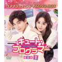 キュート・プログラマー BOX1 <コンプリート・シンプルDVD-BOX> (期間限定) 【DVD】