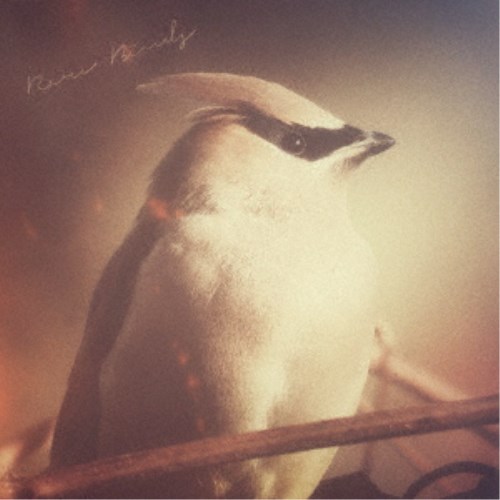 商品種別CD発売日2024/09/30ご注文前に、必ずお届け日詳細等をご確認下さい。関連ジャンル邦楽ポップスアーティストBen Sadock ＆ Uwanosora商品概要NY在住のSSW、ベン・サドックとウワノソラ による共作のEPが完成いたしました。ベン・サドックにとっては15年ぶりの作品。ウワノソラにとっては初の全英詞の作品となりました。作曲は共作で進め、作詞はベン、アレンジと録音はウワノソラが担当しております。こういった形でのポップスアルバムは日本では少ないかと思います。是非楽しんで頂けたら幸いです。 (ウワノソラ 角谷)商品番号UWAN-8販売元ブリッジ組枚数1枚組 _音楽ソフト _邦楽_ポップス _CD _ブリッジ 登録日：2024/09/12 発売日：2024/09/30 締切日：2024/09/01