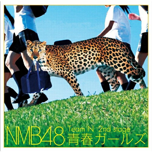 【早い者勝ち!!11/20から使える当店限定クーポン】NMB48／Team N 2nd stage 青春ガールズ 【CD】