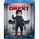 チャイルド・プレイ 〜チャッキーの狂気病棟〜 【Blu-ray】
