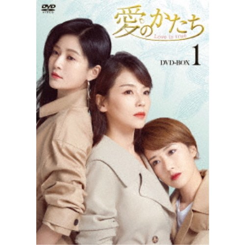 愛のかたち〜Love is true〜 DVD-BOX1 【DVD】