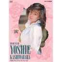 柏原芳恵/柏原芳恵 NHKプレミアムコレクション 【DVD】