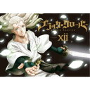 【7/13~ エントリー&5000円以上購入でP最大5倍】ブラッククローバー Chapter XII《通常版》 【DVD】
